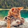 Bengal Cat and Hedgehog Friendship Paint By Numbers