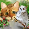 Cat and Owl Duo Paint By Numbers