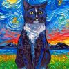 Starry Night Cat Paint By Numbers