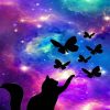 Colorful Cat Universe Paint By Numbers