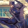 Catwoman Heroes Paint By Numbers
