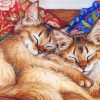 Sleeping Cats Paint By Numbers