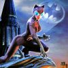 Catwoman Supervillain Paint By Numbers