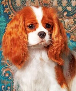 King Charles Cavalier Puppy Paint By Numbers