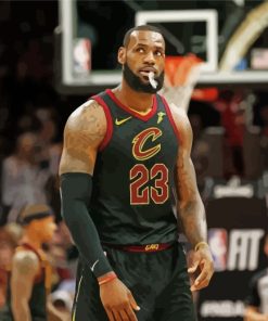 Cavaliers Basketball Logo Paint By Numbers