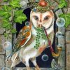 Celtic Owl Bird Paint By Numbers
