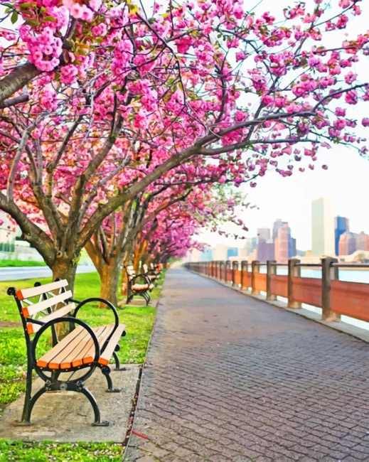 Finalizing Cherry Blossoms New York City artwork