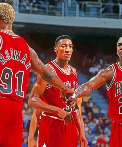 Chicago Bulls Basketball Paint By Numbers