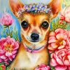 Chihuahua Pets Paint By Numbers