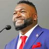 David Ortiz Baseball Icon Paint By Numbers