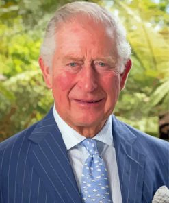 Royal Charles III Paint By Numbers