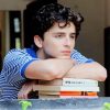 Timothee Chalamet American Paint By Numbers
