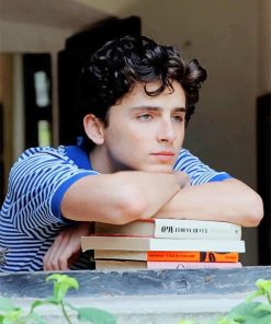 Timothee Chalamet American Paint By Numbers