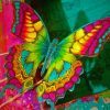Colorful Butterfly Insect Paint By Numbers