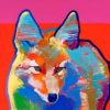 Colorful Coyote Animal Paint By Numbers