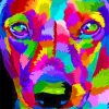 Colorful Dog Pop Art Paint By Numbers