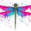 Colorful Dragonfly Insect Paint By Numbers
