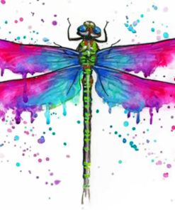 Colorful Dragonfly Insect Paint By Numbers