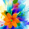 Colorful Flower Painting Kit Paint By Numbers