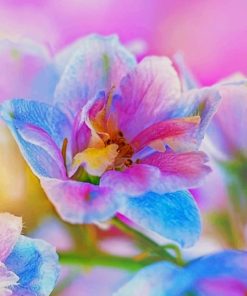 Colorful Blossom Flowers Paint By Numbers