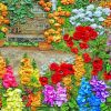 Colorful Flower Pots Paint By Numbers