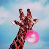 Giraffe Bubblegum Fun Paint By Numbers
