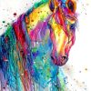 Colorful Horse Painting Paint By Numbers