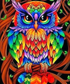 Rainbow Owl Paint By Numbers