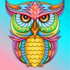 Rainbow Owl Paint By Numbers