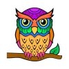Rainbow Owl Paint By Numbers