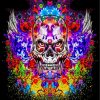Colorful Skull Design Paint By Numbers