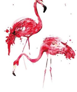 Flamingo Watercolor Birds Paint By Numbers