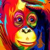 Colorful Monkey Animals Paint By Numbers