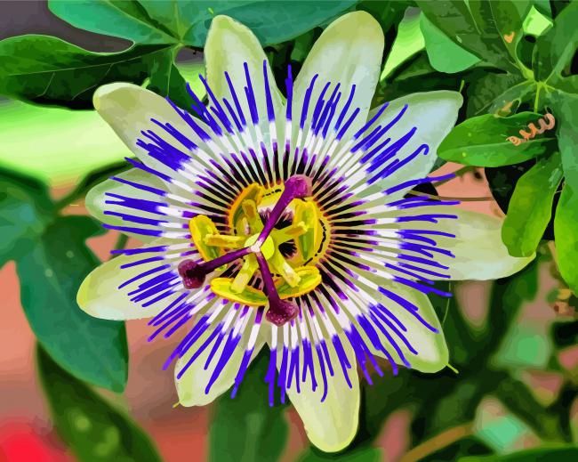 finalizing the Blue Passion Flower Paint By Numbers artwork