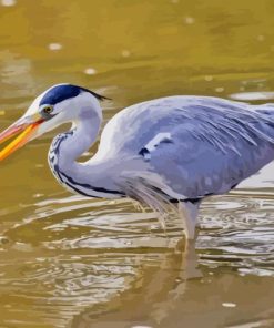 Grey Heron Water Birds Paint By Numbers