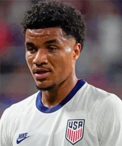 Malik Tillman Soccer Star Paint By Numbers