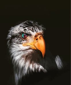 Majestic Eagle Eyes Paint By Numbers