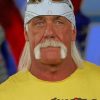 Hulk Hogan Wrestling Icon Paint By Numbers