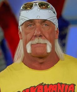 Hulk Hogan Wrestling Icon Paint By Numbers