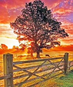 Golden Country Sunset Paint By Numbers