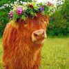 Cow with Flower Crown Paint By Numbers