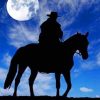 Cowboy and Moonlit Night Paint By Numbers