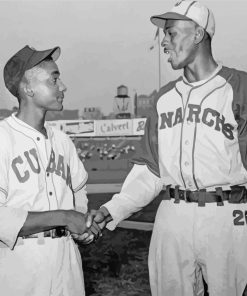 Negro League Baseball Stars Paint By Numbers