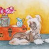 Chinese Crested Puppy Paint By Numbers