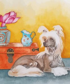 Chinese Crested Puppy Paint By Numbers