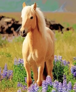 Palomino Horse Animal Paint By Numbers