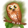Cute Eastern Screech Owl Paint By Numbers