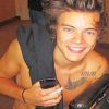 Harry Styles Singer Paint By Numbers