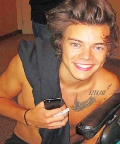 Harry Styles Singer Paint By Numbers