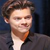 Harry Styles Fashion Icon Paint By Numbers